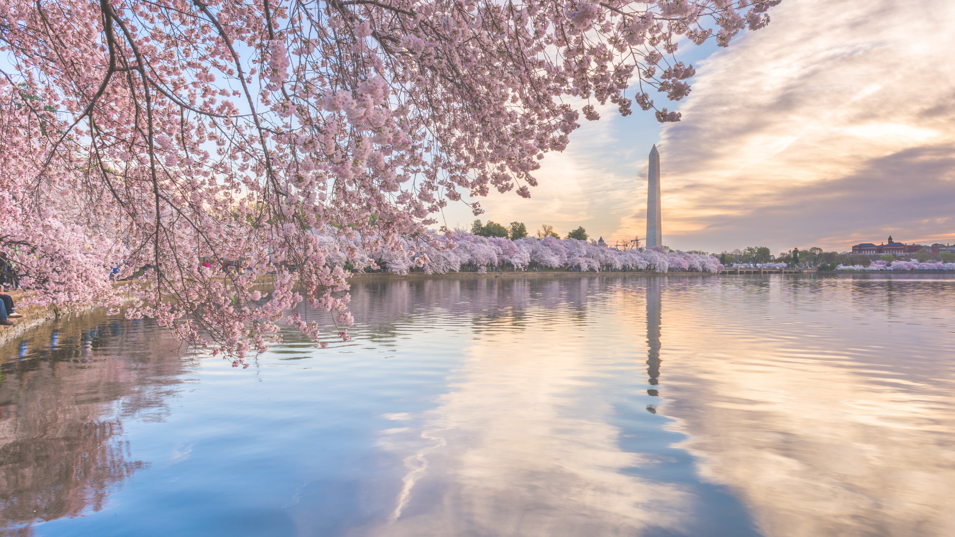 D.C.